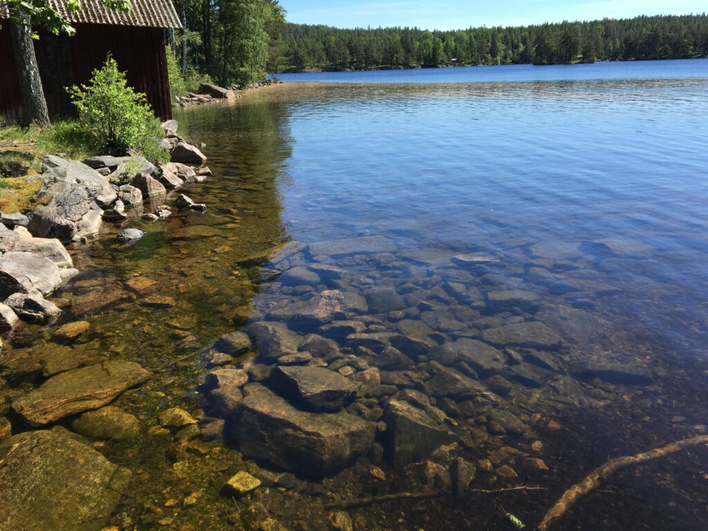 Sjö i solljus