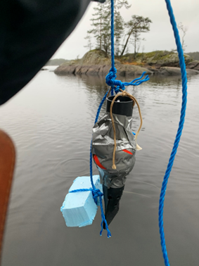 Figur 1: HOBO-pH-logger med beskyttelseskappe, lodd og tau som er festet til en bøye og et flyteelement. Foto: Henriette Kildahl – NIVA.
